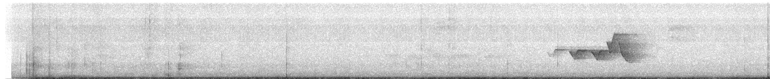 Hooded Warbler - ML618676198