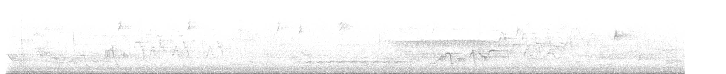 Дрізд-короткодзьоб Cвенсона - ML618680597