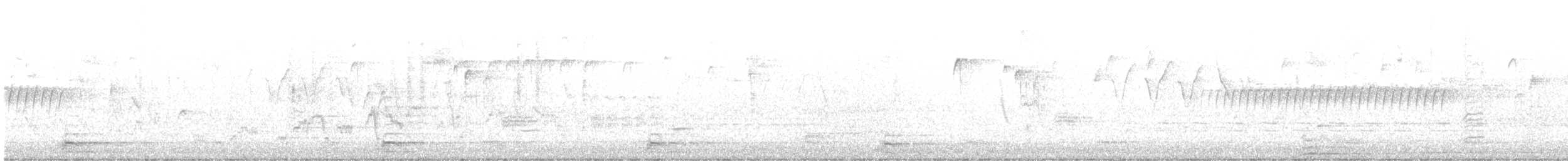 Дрізд-короткодзьоб Cвенсона - ML618680599