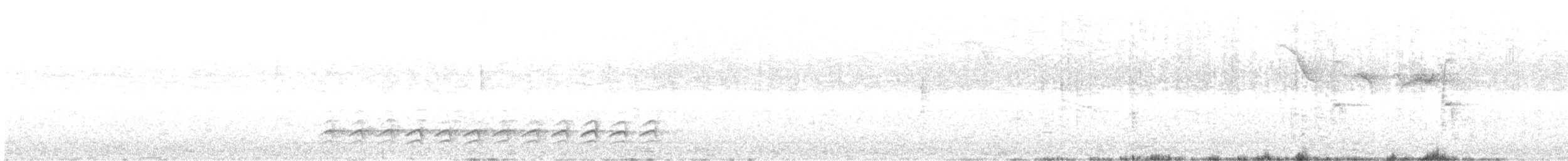 Weißbrustkleiber (carolinensis) - ML618680768