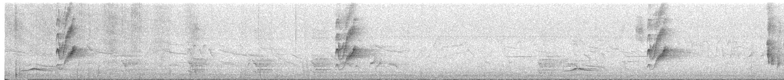 Thick-billed Kingbird - ML618683288