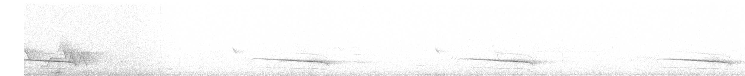 Гвианский крапивник - ML618686472