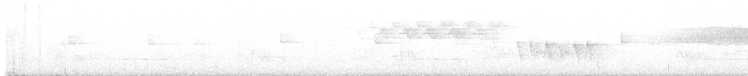 Paruline à gorge grise - ML618693035
