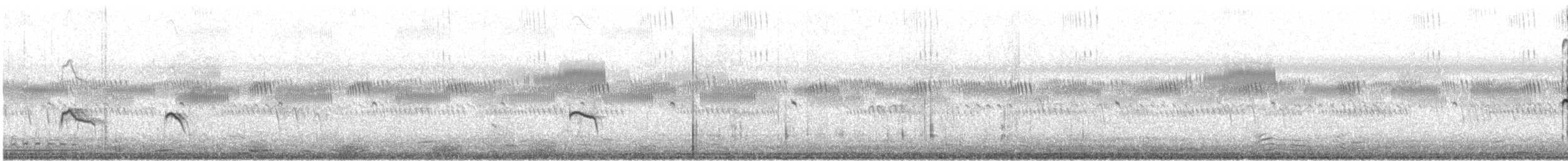 小環頸鴴(curonicus) - ML618693934