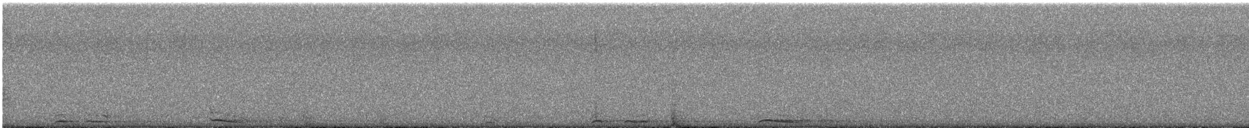 Сова плямиста (підвид lucida) - ML618695932