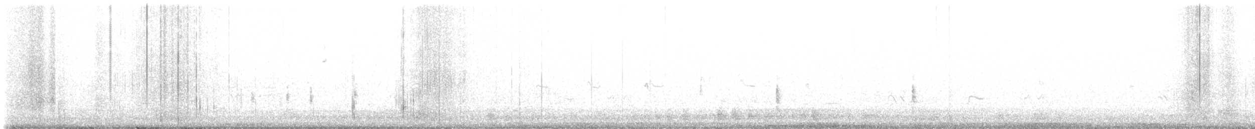Whimbrel (Hudsonian) - ML618698986