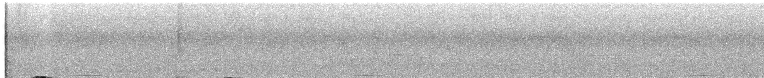 Chiriqui Quail-Dove - ML618702824