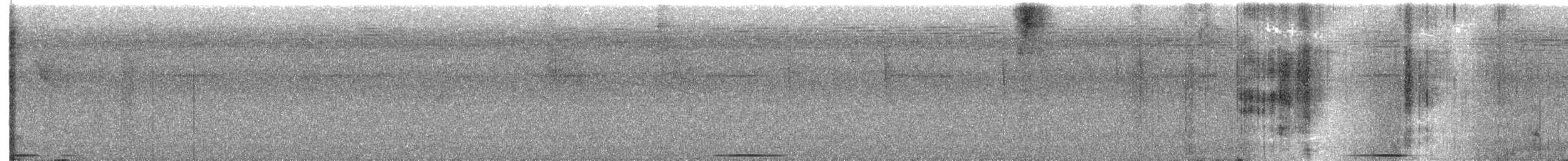 Chiriqui Quail-Dove - ML618702825