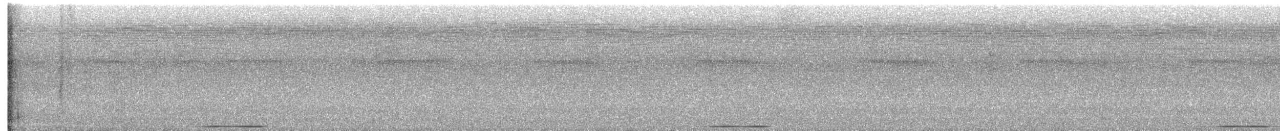 Chiriqui Quail-Dove - ML618702826