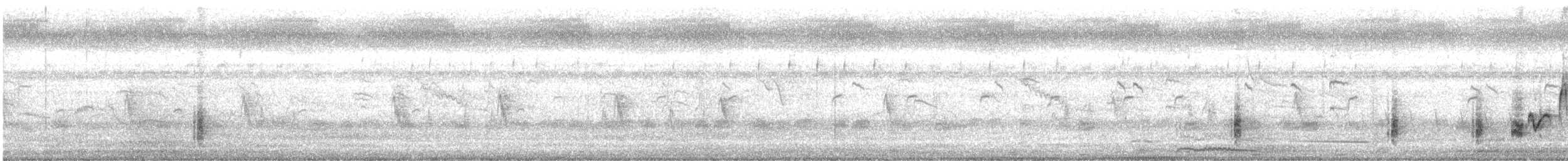 Australian Reed Warbler - ML618704864