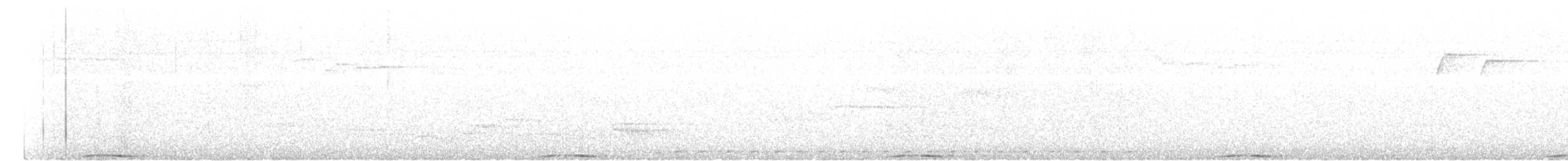 holub černobradý - ML618710803