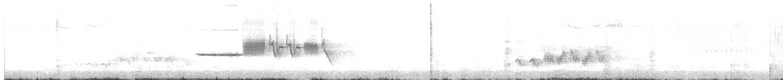 Amerika Çütresi (californicus) - ML618710956
