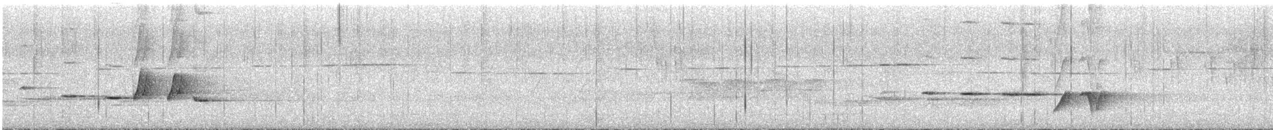 Gray-bellied Tesia - ML618713125