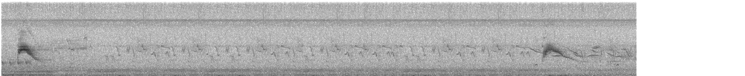 Texaskönigstyrann - ML618715892