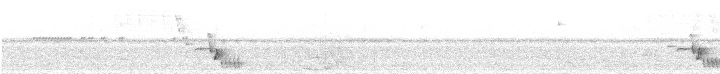 svartkronesmett - ML618720177