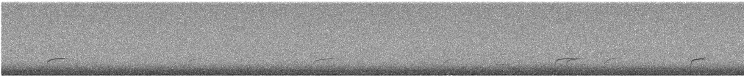 Swainson's Thrush - ML618721935