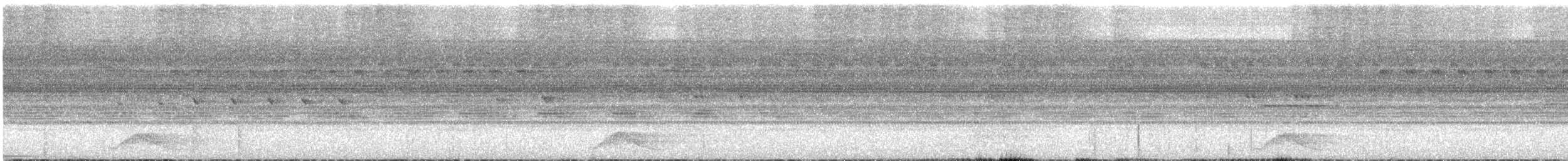 Pauraquenachtschwalbe - ML618725046