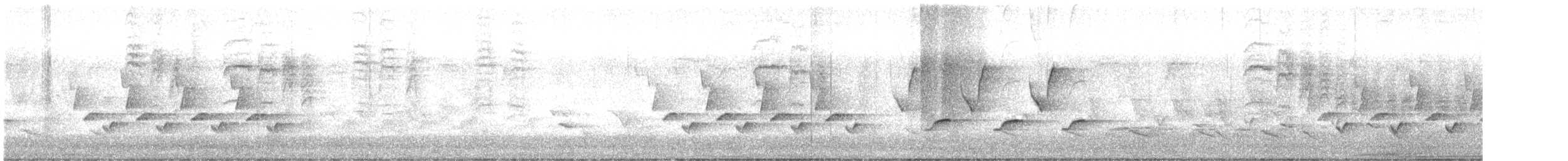 Karolina Çıtkuşu - ML618726418