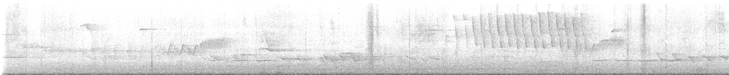 Cerulean Warbler - ML618726650