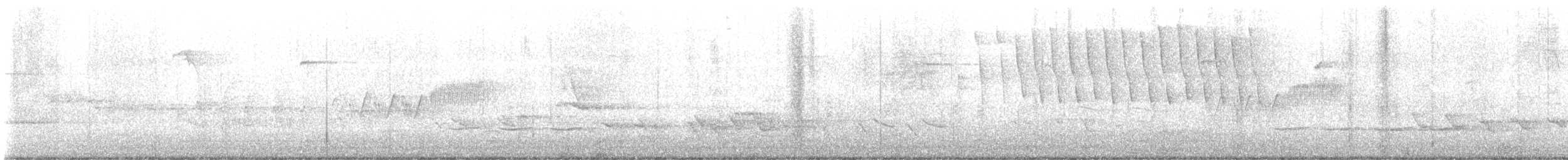 Tennessee Warbler - ML618726651