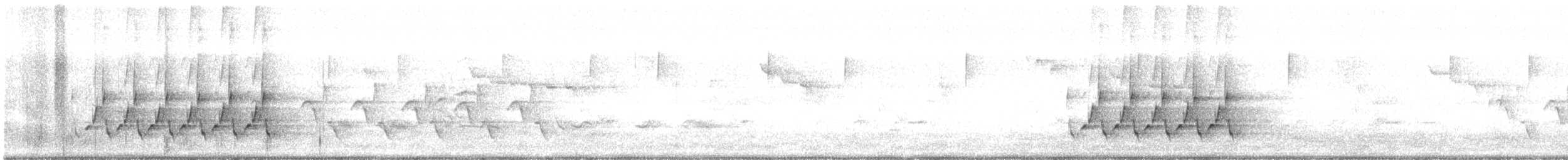 Поплітник каролінський - ML618727758