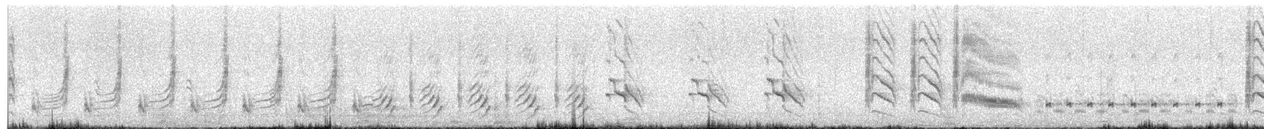 Northern Mockingbird - ML618729463