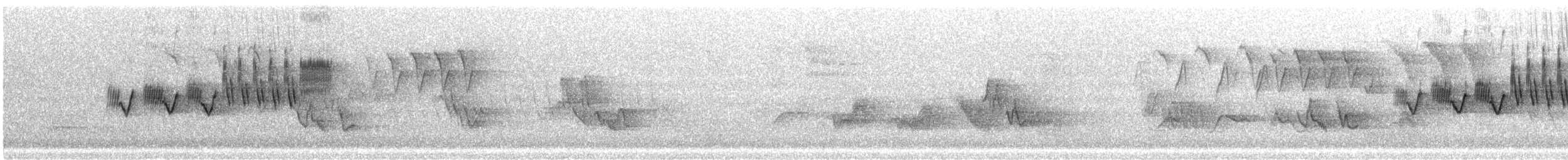 Cerulean Warbler - ML618735265