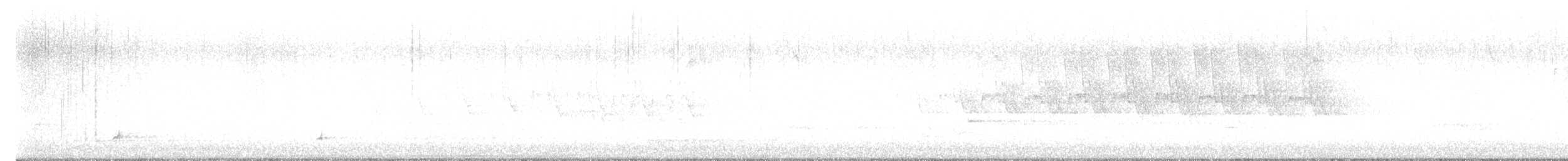Дрізд-короткодзьоб Cвенсона - ML618740928