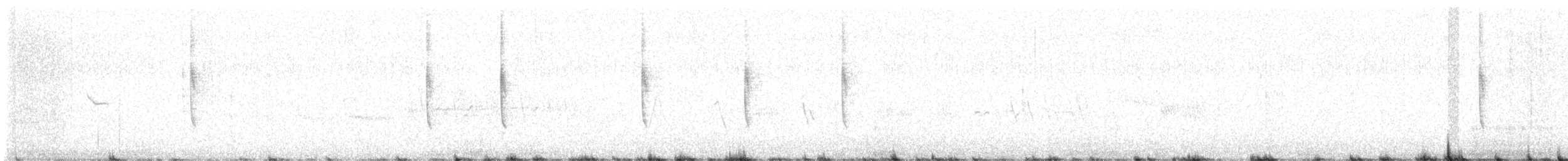 Широкохвостый колибри - ML618741614