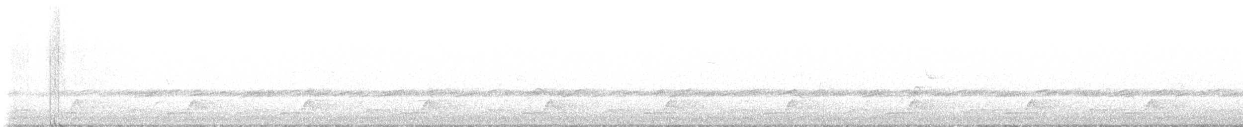 Schwarzkehl-Nachtschwalbe - ML618742110