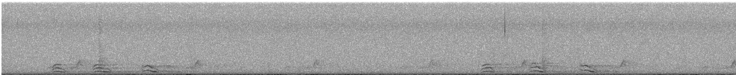 Сова плямиста (підвид lucida) - ML618742155