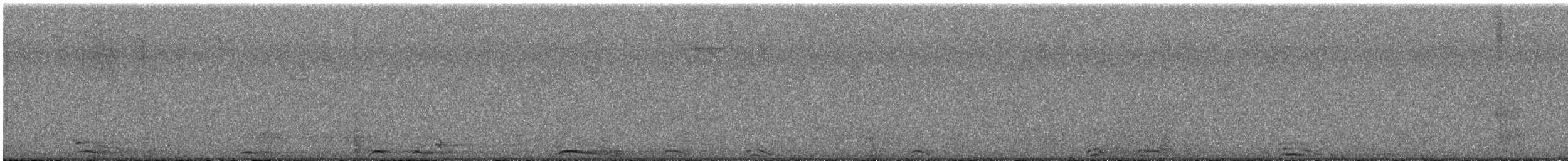 Сова плямиста (підвид lucida) - ML618742209