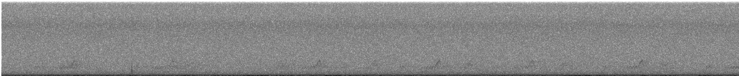 Сова плямиста (підвид lucida) - ML618742566