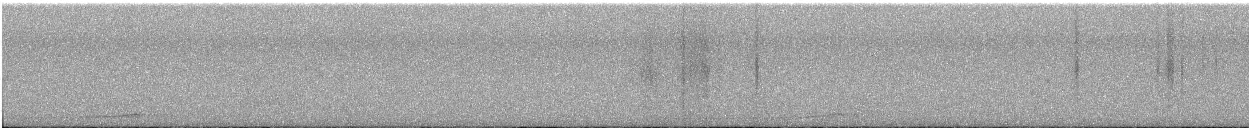 Сова плямиста (підвид lucida) - ML618742597