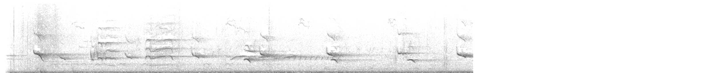 Águila Pescadora (carolinensis) - ML618744007