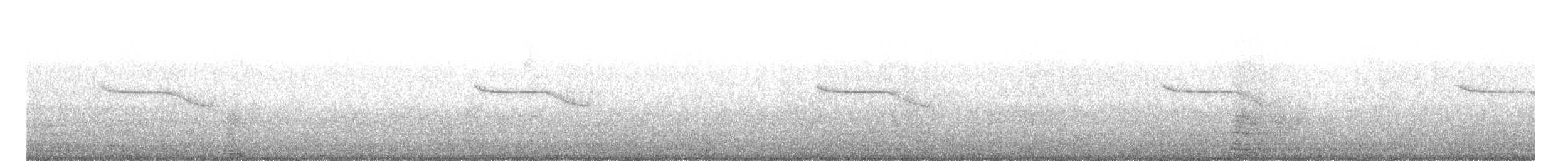 Breitspiegel-Nachtschwalbe - ML618746258