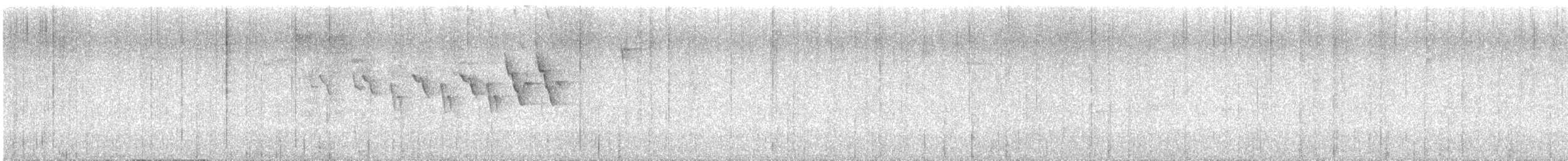 skiferhvitstjert - ML618748509