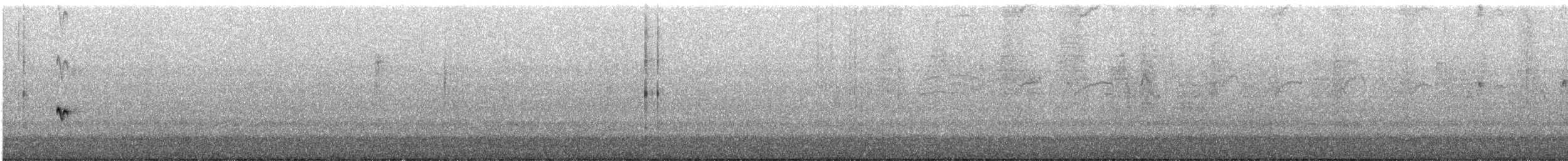 Pine Flycatcher - ML618749141