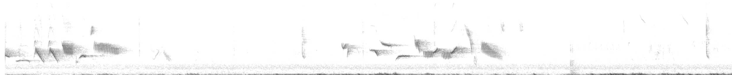 revespurv (schistacea gr.) (skiferrevespurv) - ML618749324