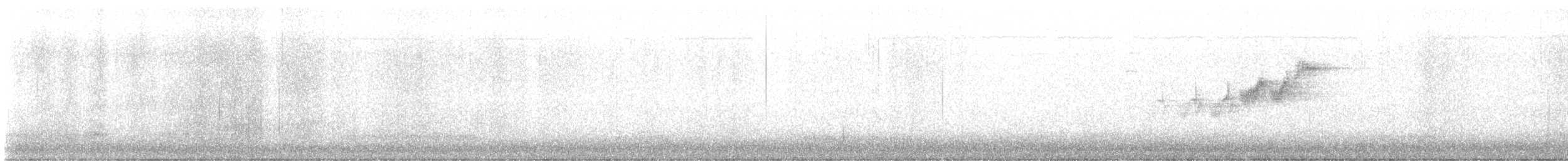 Paruline grise - ML618750024