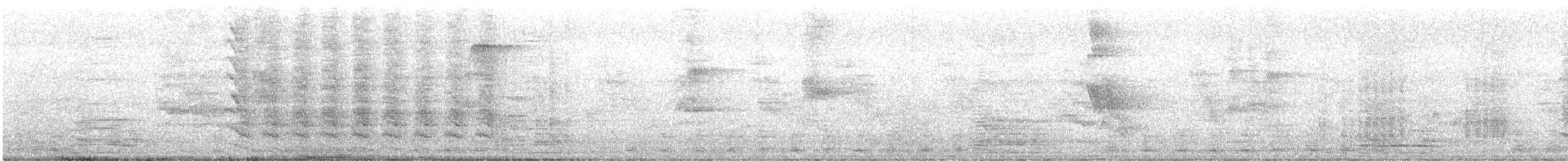 Cuban Amazon - ML618750267