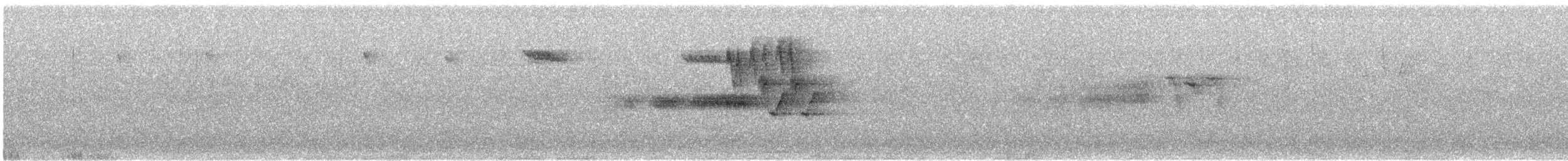 Townsend's Warbler - ML618753899