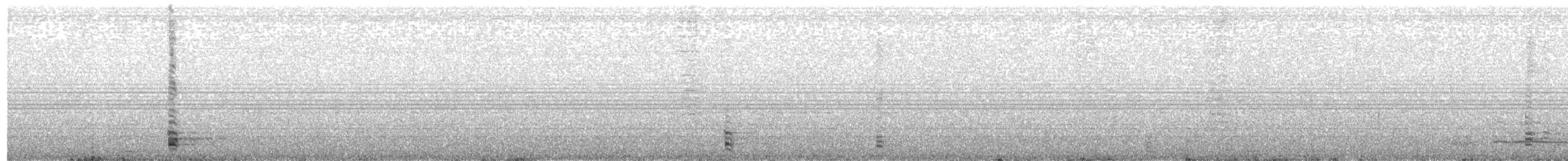 Andean Ibis - ML618754027