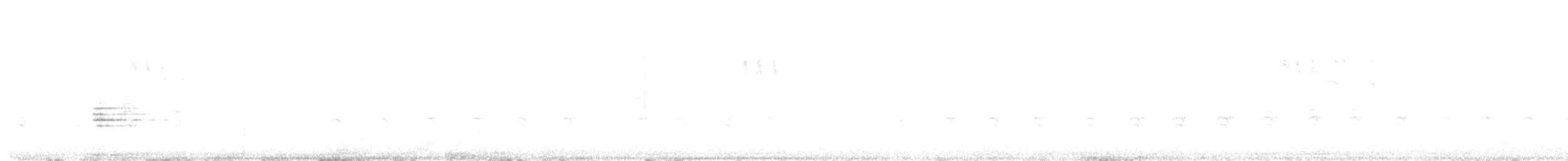 Канадский поползень - ML618754048