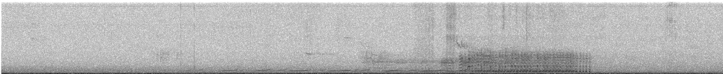 Spotless Crake - ML618754197