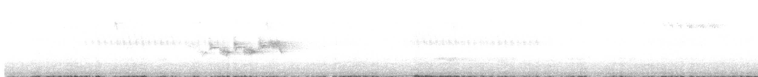 Black-throated Gray Warbler - ML618755071