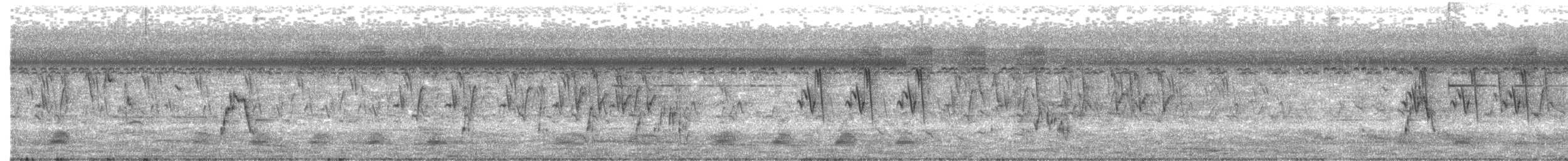 Bristled Grassbird - ML618756318