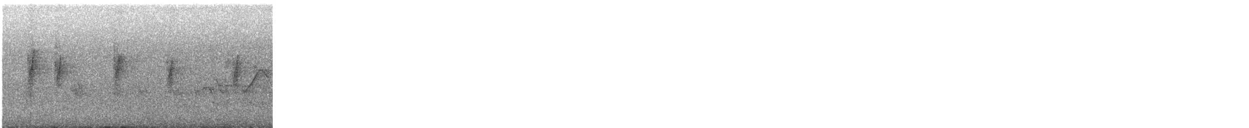 Атласная нектарница - ML618759164