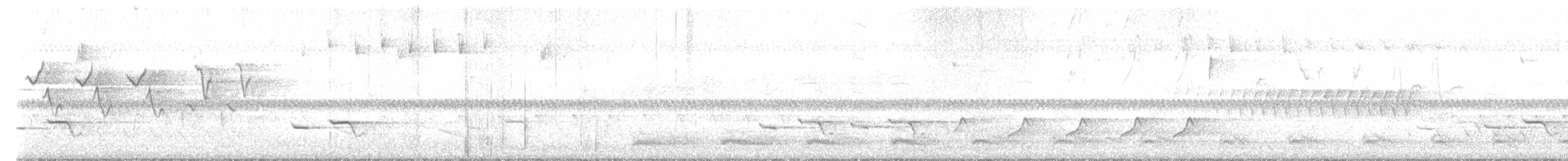 svarthetteparula - ML618759244