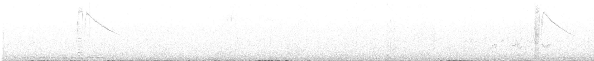 Calliope Hummingbird - ML618762214